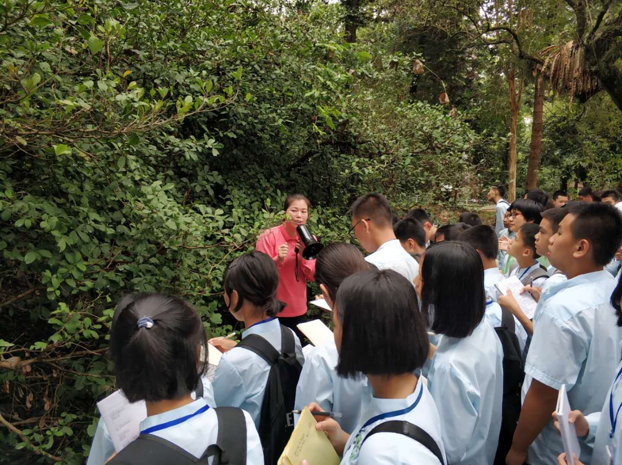 儋州立業寶島生根海南熱帶植物園儋州市兩院中學科普活動